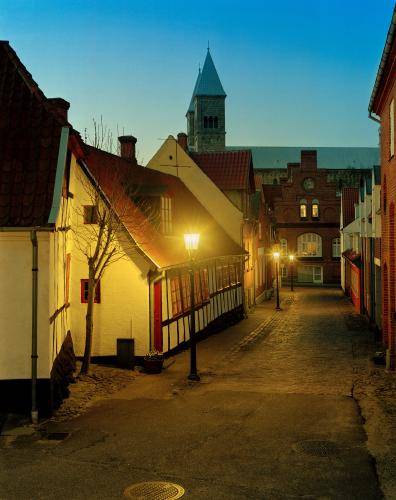 Energi Viborg