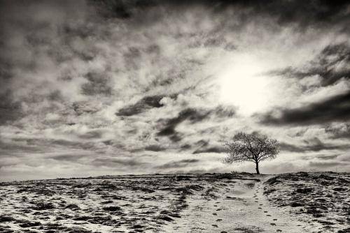 Mols Bjerge 01bw