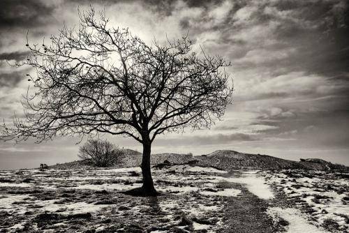Mols Bjerge 02bw