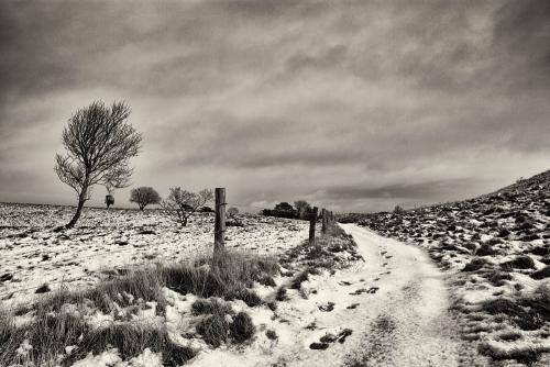 Mols Bjerge 03bw