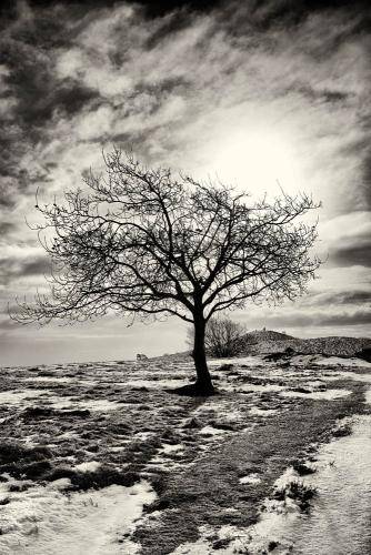 Mols Bjerge 05bw