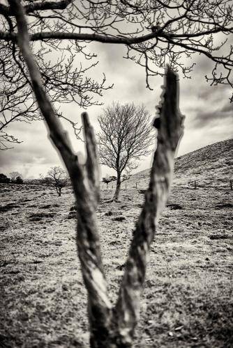 Mols Bjerge 06bw
