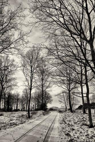 Mols Bjerge 07bw