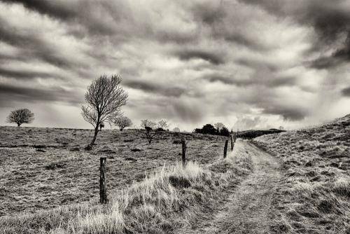 Mols Bjerge 09bw
