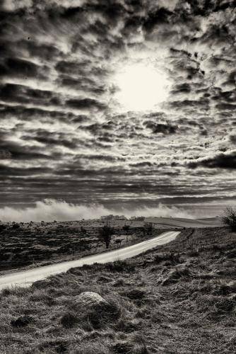 Mols Bjerge 10bw