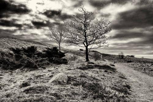 Mols Bjerge 12bw