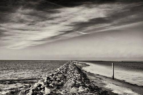Mols Bjerge 16bw