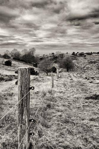 Mols Bjerge 17bw