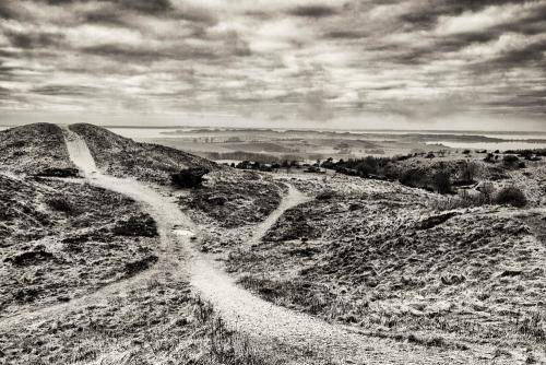 Mols Bjerge 19bw