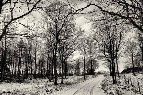 Mols Bjerge 20bw
