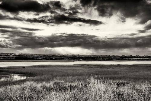 Nymindegab 01bw