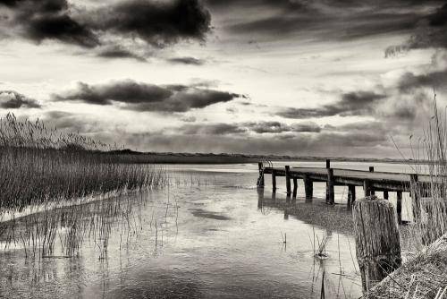 Nymindegab 02bw