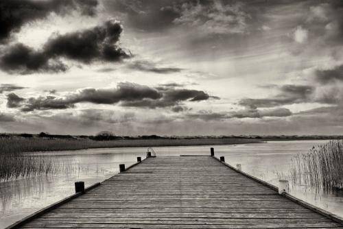 Nymindegab 03bw