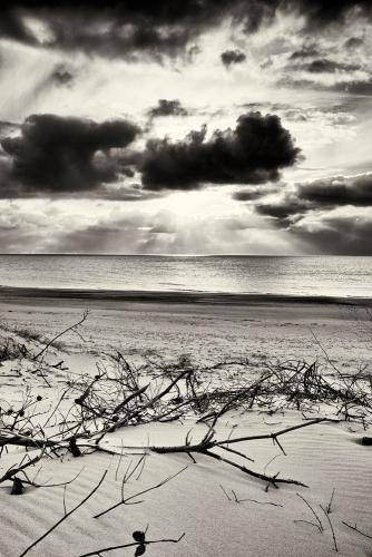 Nymindegab 05bw