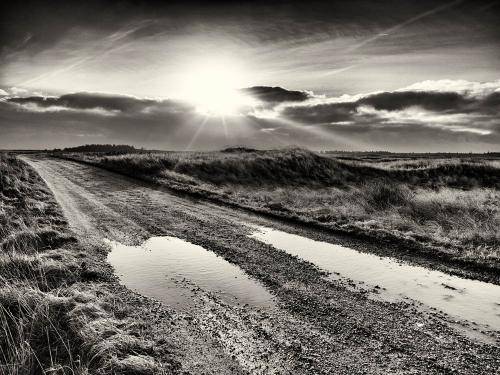Vigsø 01BW