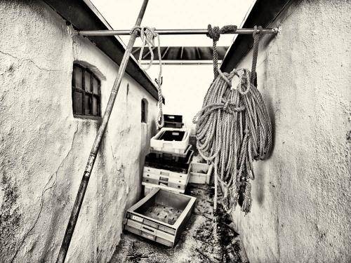 Vigsø 05BW